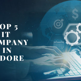 Top 5 It Company Indore