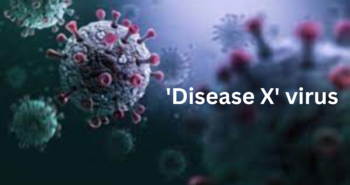 'Disease X' virus