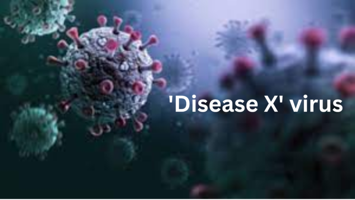 'Disease X' virus